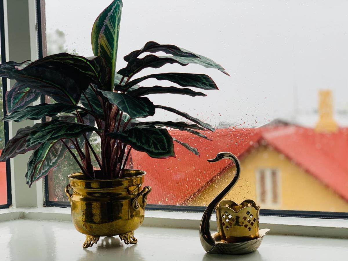Skolavoerthustigur Apartments Reykjavík Zewnętrze zdjęcie
